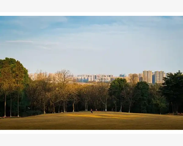 清肺热，健康生活的保障